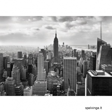 Fototapetai NEW YORK BLACK&WHITE 254 x 368 cm
