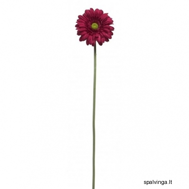 Dirbtinė gėlė Gerbera 60CM (violetinė)