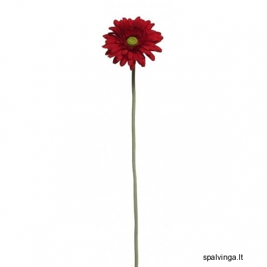 Dirbtinė gėlė Gerbera 60CM (raudona)